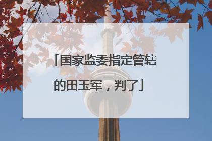 国家监委指定管辖的田玉军，判了