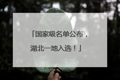 国家级名单公布，湖北一地入选！