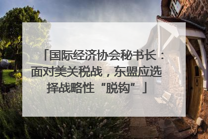 国际经济协会秘书长：面对美关税战，东盟应选择战略性“脱钩”
