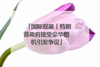 国际观察丨特朗普政府接受豪华赠机引发争议