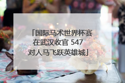 国际马术世界杯赛在武汉收官 547对人马飞跃英雄城