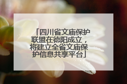 四川省文庙保护联盟在德阳成立，将建立全省文庙保护信息共享平台
