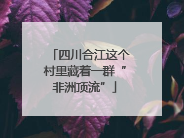 四川合江这个村里藏着一群“非洲顶流”