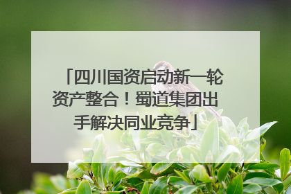 四川国资启动新一轮资产整合！蜀道集团出手解决同业竞争