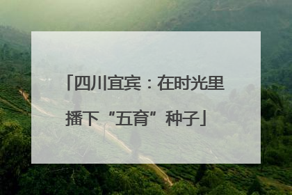 四川宜宾：在时光里播下“五育”种子