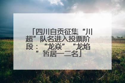四川自贡征集“川超”队名进入投票阶段：“龙焱”“龙焰”暂居一二名
