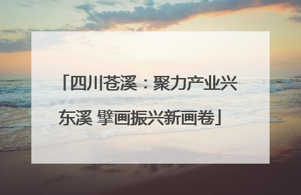四川苍溪：聚力产业兴东溪 擘画振兴新画卷