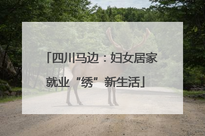 四川马边：妇女居家就业“绣”新生活