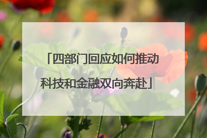 四部门回应如何推动科技和金融双向奔赴