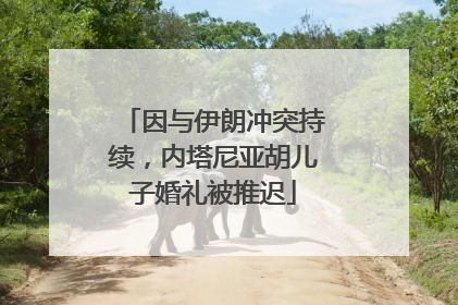 因与伊朗冲突持续，内塔尼亚胡儿子婚礼被推迟