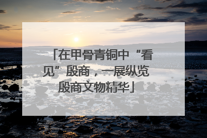 在甲骨青铜中“看见”殷商，一展纵览殷商文物精华