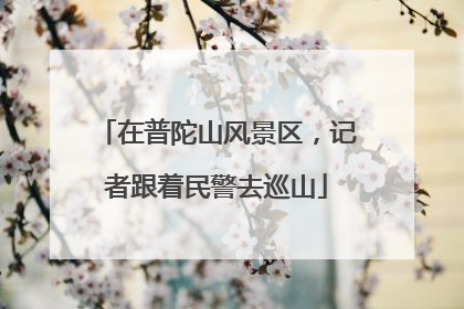 在普陀山风景区，记者跟着民警去巡山