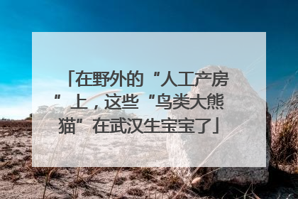 在野外的“人工产房”上，这些“鸟类大熊猫”在武汉生宝宝了