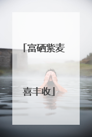 富硒紫麦喜丰收