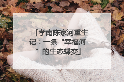 孝南陈家河重生记：一条“幸福河”的生态蝶变