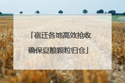 宿迁各地高效抢收 确保夏粮颗粒归仓