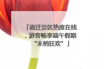 宿迁景区热度在线，游客畅享端午假期“末梢狂欢”