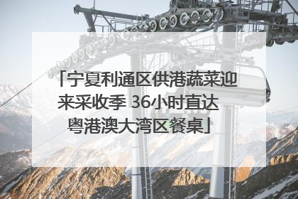宁夏利通区供港蔬菜迎来采收季 36小时直达粤港澳大湾区餐桌