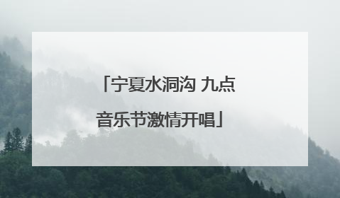 宁夏水洞沟 九点音乐节激情开唱