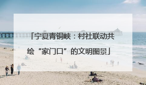 宁夏青铜峡：村社联动共绘“家门口”的文明图景