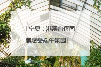 宁夏：港澳台侨同胞感受端午氛围