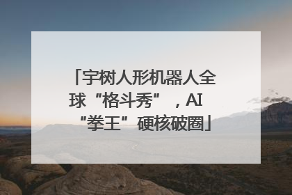 宇树人形机器人全球“格斗秀”，AI“拳王”硬核破圈