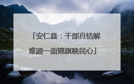 安仁县：干部真情解难题一面锦旗映民心