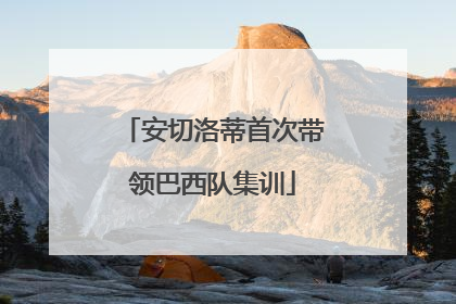 安切洛蒂首次带领巴西队集训