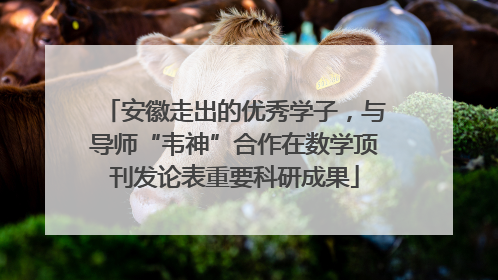 安徽走出的优秀学子，与导师“韦神”合作在数学顶刊发论表重要科研成果