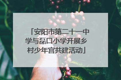 安阳市第二十一中学与磊口小学开展乡村少年宫共建活动