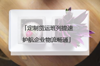 定制货运班列提速 护航企业物流畅通