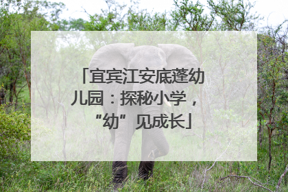 宜宾江安底蓬幼儿园：探秘小学，“幼”见成长