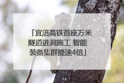 宜涪高铁首座万米隧道进洞施工 智能装备集群提速4倍