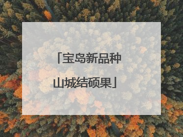 宝岛新品种 山城结硕果