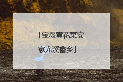 宝岛黄花菜安家尤溪畲乡