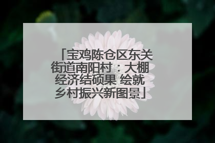 宝鸡陈仓区东关街道南阳村：大棚经济结硕果 绘就乡村振兴新图景