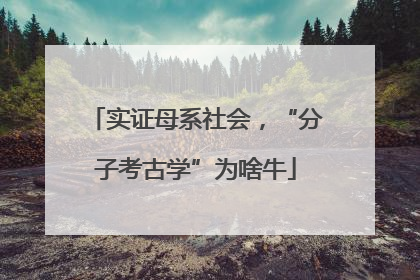 实证母系社会，“分子考古学”为啥牛