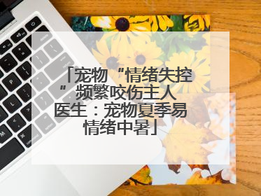 宠物“情绪失控”频繁咬伤主人 医生：宠物夏季易情绪中暑