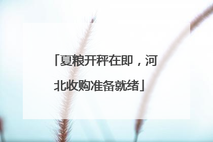 夏粮开秤在即，河北收购准备就绪