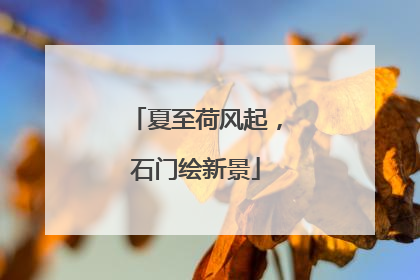 夏至荷风起，石门绘新景