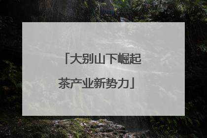 大别山下崛起茶产业新势力