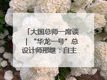 大国总师一席谈｜“华龙一号”总设计师邢继：自主创新铸就核电“国家名片”