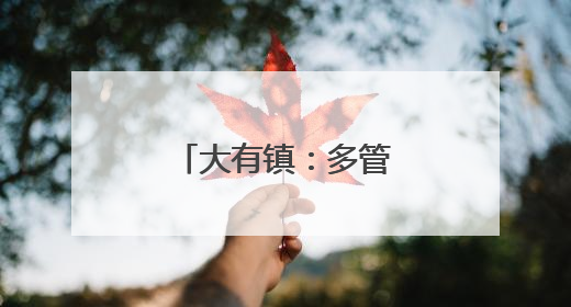 大有镇：多管齐下抓实“两清两改两治理”