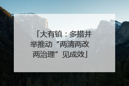 大有镇：多措并举推动“两清两改两治理”见成效
