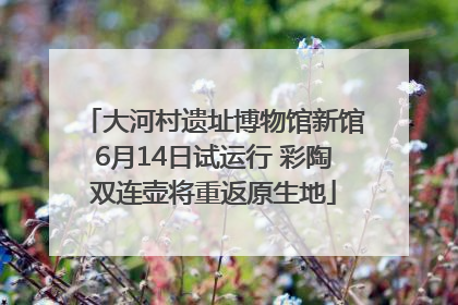 大河村遗址博物馆新馆6月14日试运行 彩陶双连壶将重返原生地