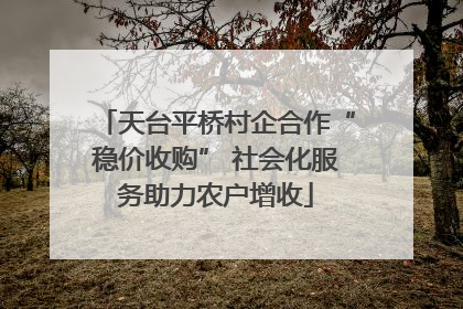 天台平桥村企合作“稳价收购” 社会化服务助力农户增收