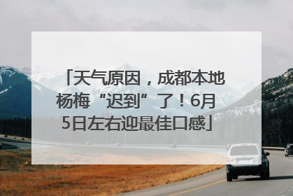 天气原因，成都本地杨梅“迟到”了！6月5日左右迎最佳口感