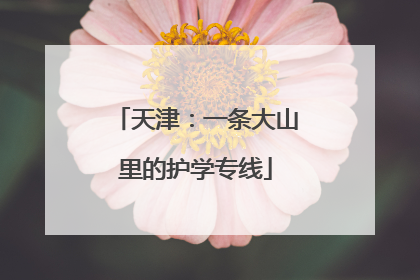 天津：一条大山里的护学专线