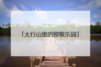 太行山里的猕猴乐园