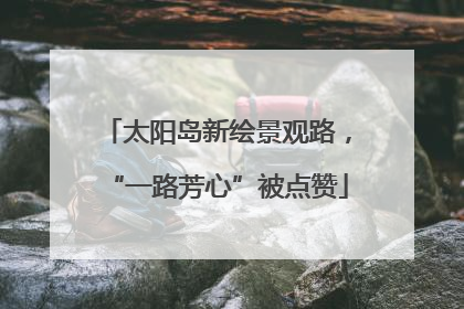 太阳岛新绘景观路，“一路芳心”被点赞